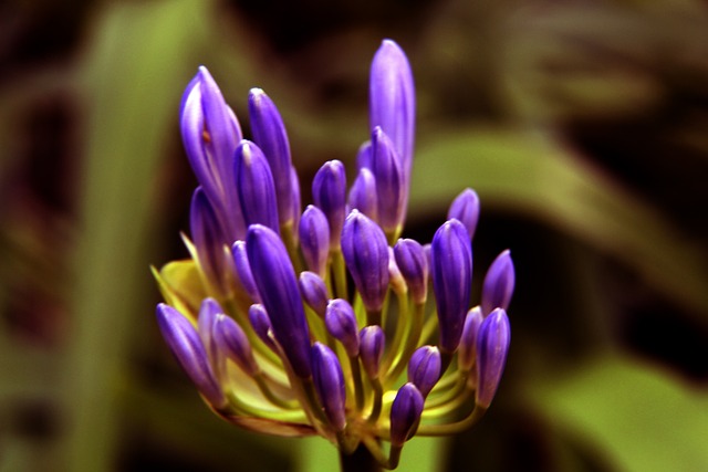 萧华或许需 萧华或许需