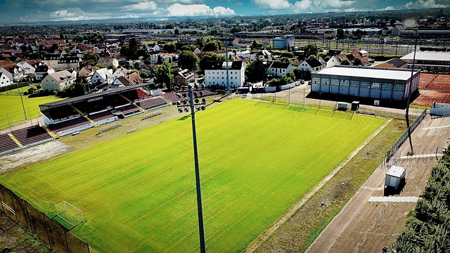 王钰栋的全 王钰栋的全