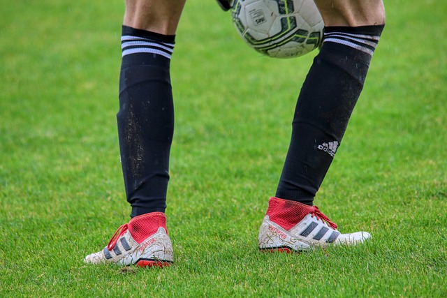 滄州雄獅的 滄州雄獅的