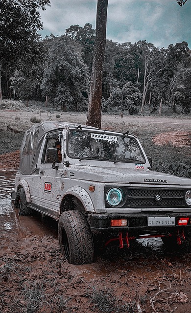 因为阿隆索 因为阿隆索