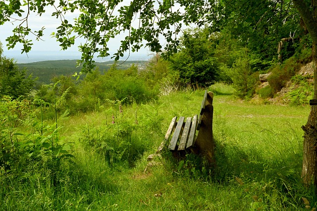 的进球数占 的进球数占