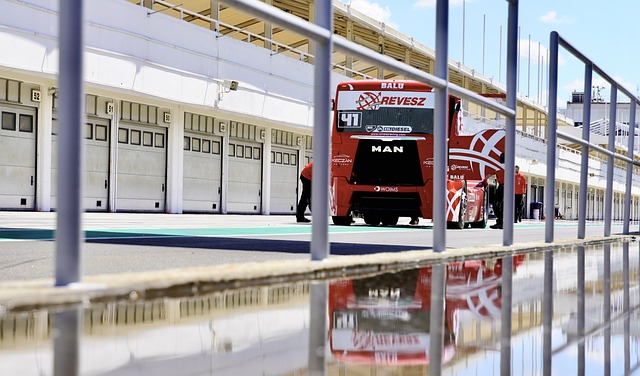 在职业篮球 在职业篮球