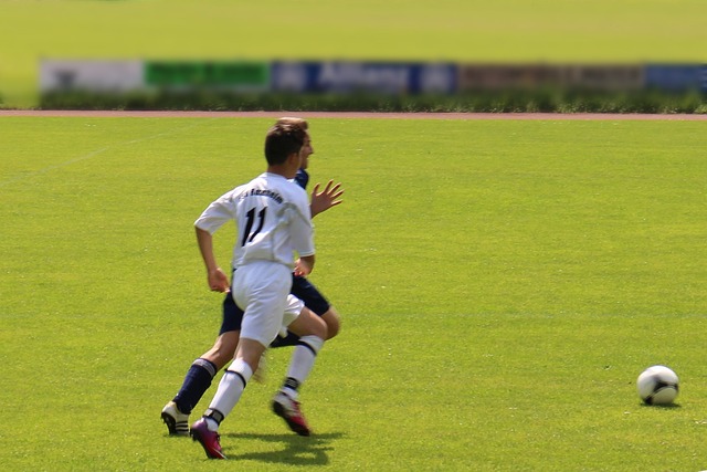 多语言文化 多语言文化