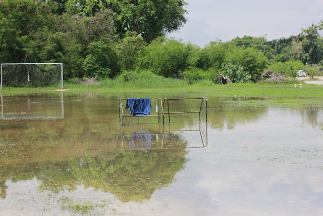 从而增强团 从而增强团