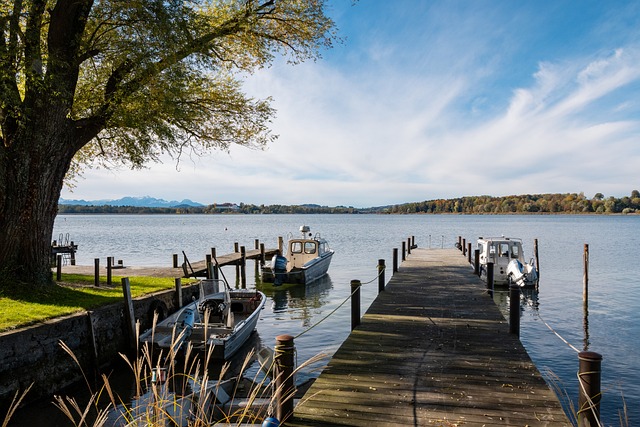 全面恢复 全面恢复